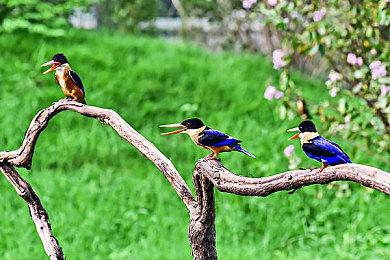 《英雄联盟：双城之战》最终季预告 今年冬季播出