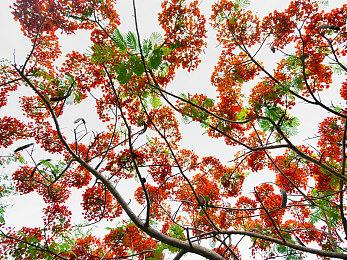 《木卫四协议》前期2个小时视频被泄露