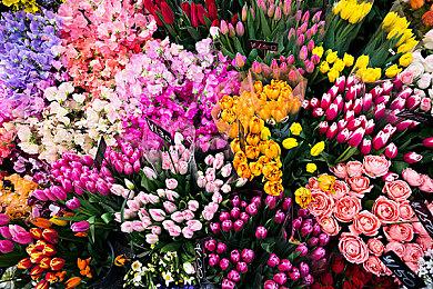 战略型弹幕RPG《梦魇骑士团》中文版7月6日发售